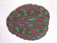 view of beaded turtle shell